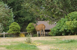 canada-2016-04-21