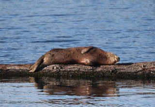 canada-2016-04-39