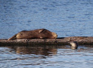 canada-2016-04-50