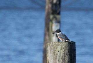 canada-2016-04-52