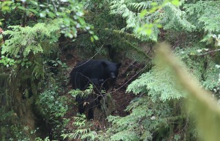 canada-2016-07-26