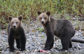 canada-2016-09-118