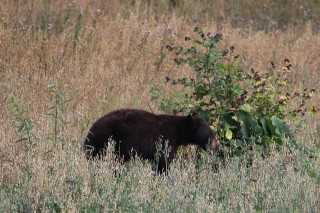 canada-2016-18-48