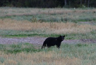 canada-2016-18-57