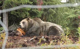 canada-2016-26-07