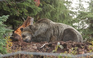 canada-2016-26-08