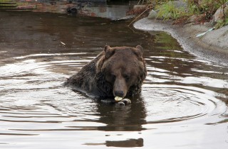 canada-2016-26-12