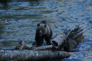 canada-2018-15-037