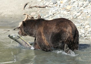 canada-2018-15-068