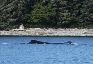 canada-2018-16-008