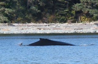 canada-2018-16-009