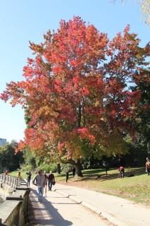 canada-2018-21-019