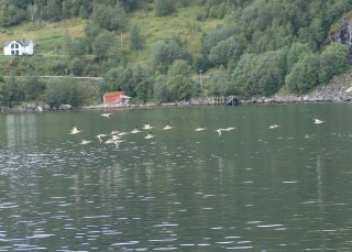 hurtigruten-2022-04-052