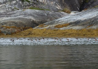 hurtigruten-2022-05-101