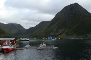 hurtigruten-2022-08-013