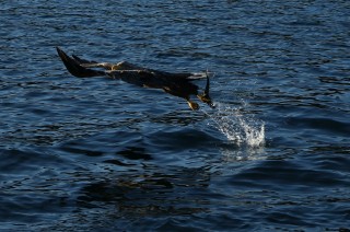 hurtigruten-2022-09-080