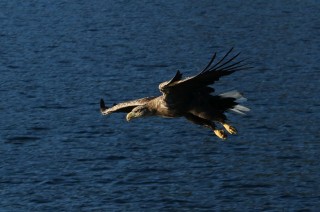 hurtigruten-2022-09-082