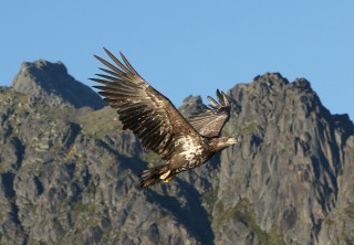 hurtigruten-2022-09-084