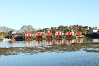 hurtigruten-2022-09-087