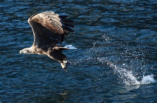 hurtigruten-2022-09-121