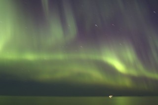 hurtigruten-2022-09-410