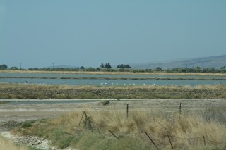 lesbos-2010-01-01