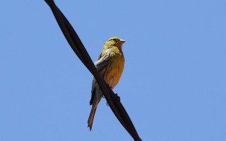 madeira-2019-01-070