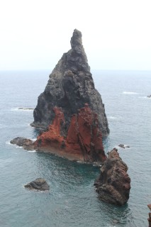 madeira-2019-03-013