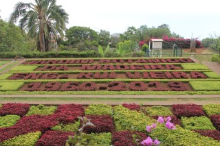 madeira-2019-06-019