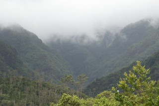 madeira-2019-07-023